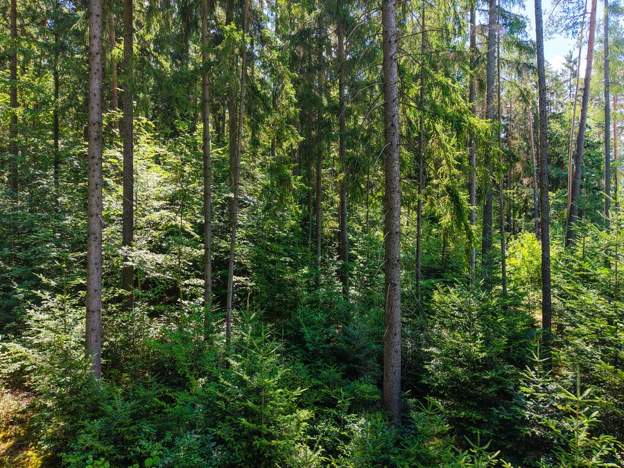 Klepačov – přírodě blízké hospodaření, foto 1