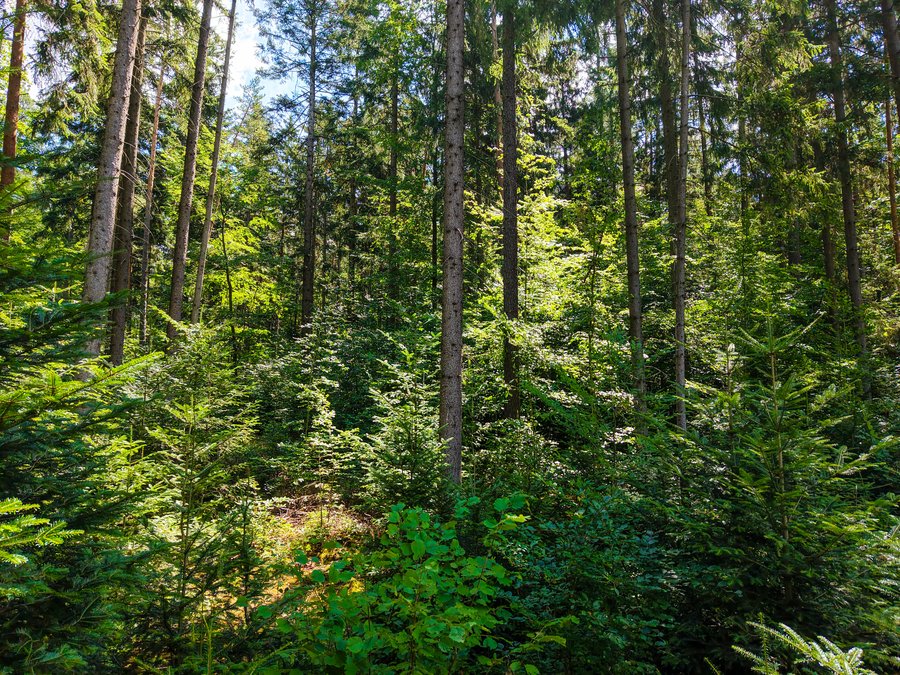Klepačov – přírodě blízké hospodaření, foto 2